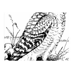 Animal Bird Forest Nature Owl Double Sided Flano Blanket (mini)  by Celenk