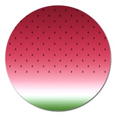 Watermelon Magnet 5  (round) by jumpercat