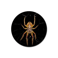 Insect Macro Spider Colombia Rubber Round Coaster (4 Pack)  by BangZart