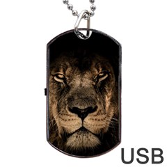 African Lion Mane Close Eyes Dog Tag Usb Flash (two Sides) by BangZart