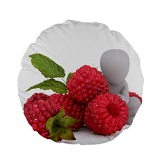 Fruit Healthy Vitamin Vegan Standard 15  Premium Round Cushions by BangZart