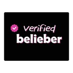 Verified Belieber Double Sided Flano Blanket (Mini)  35 x27  Blanket Back