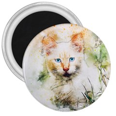 Cat Animal Art Abstract Watercolor 3  Magnets by Celenk