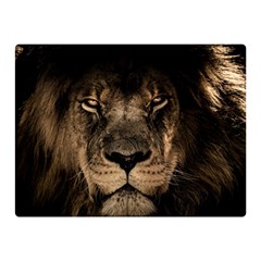 African Lion Mane Close Eyes Double Sided Flano Blanket (mini)  by Celenk