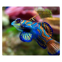Mandarinfish 1 Double Sided Flano Blanket (small)  by trendistuff