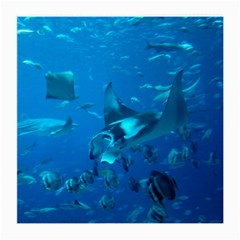 Manta Ray 2 Medium Glasses Cloth (2-side) by trendistuff