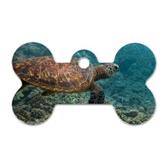 Sea Turtle 3 Dog Tag Bone (two Sides) by trendistuff