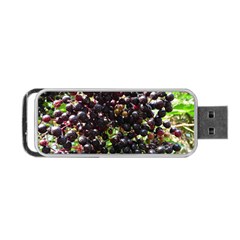 Elderberries Portable Usb Flash (two Sides) by trendistuff
