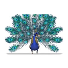 Peacock Bird Peacock Feathers Plate Mats by Sapixe