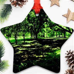 Hot Day In Dallas 26 Ornament (star) by bestdesignintheworld