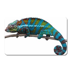 Reptile Lizard Animal Isolated Magnet (rectangular) by Sapixe