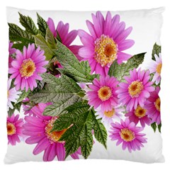 Daisies Flowers Arrangement Summer Large Flano Cushion Case (one Side) by Sapixe