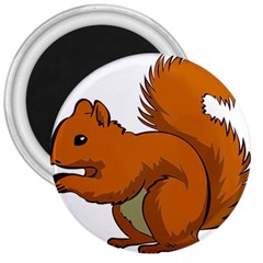 Squirrel Animal Pet 3  Magnets by Sapixe