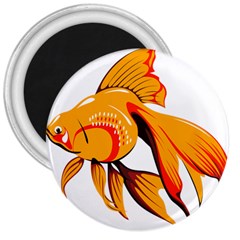 Goldfish Fish Tank Water Tropical 3  Magnets by Sapixe
