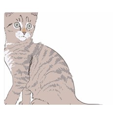 Kitten Cat Drawing Line Art Line Double Sided Flano Blanket (small)  by Sapixe