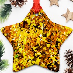 Birch Tree Yellow Leaves Ornament (star) by FunnyCow
