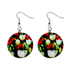 White And Red Sunlit Tulips Mini Button Earrings by FunnyCow