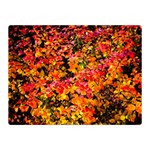 Orange, yellow cotoneaster leaves in autumn Double Sided Flano Blanket (Mini)  35 x27  Blanket Back