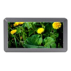 Yellow Dandelion Flowers In Spring Memory Card Reader (mini) by FunnyCow