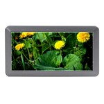 Yellow Dandelion Flowers In Spring Memory Card Reader (Mini) Front