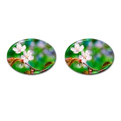 Sakura Flowers On Green Cufflinks (oval) by FunnyCow