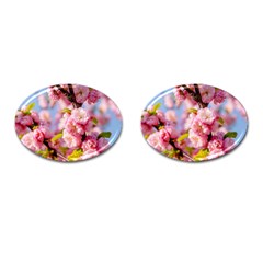 Flowering Almond Flowersg Cufflinks (oval) by FunnyCow
