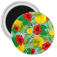 Orange Tropics Blue 3  Magnets by snowwhitegirl