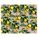 Fruit Branches Double Sided Flano Blanket (Medium)  60 x50  Blanket Back