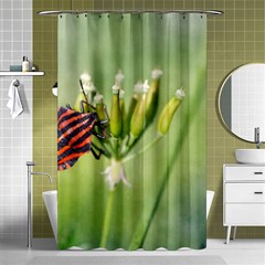 One More Bottle Does Not Hurt Shower Curtain 48  X 72  (small)  by FunnyCow