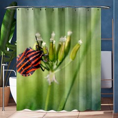 One More Bottle Does Not Hurt Shower Curtain 60  X 72  (medium)  by FunnyCow