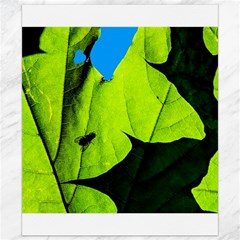 Window Of Opportunity Canvas 8  X 10  by FunnyCow