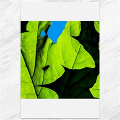 Window Of Opportunity Canvas 12  X 18  by FunnyCow