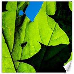 Window Of Opportunity Canvas 16  X 16  by FunnyCow