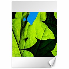 Window Of Opportunity Canvas 24  X 36  by FunnyCow