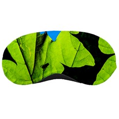 Window Of Opportunity Sleeping Masks by FunnyCow