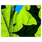 Window Of Opportunity Double Sided Flano Blanket (Medium)  60 x50  Blanket Back