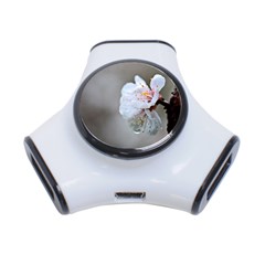 Rainy Day Of Hanami Season 3-port Usb Hub by FunnyCow
