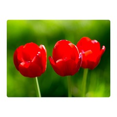 Three Red Tulips, Green Background Double Sided Flano Blanket (mini)  by FunnyCow