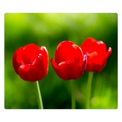 Three Red Tulips, Green Background Double Sided Flano Blanket (small)  by FunnyCow