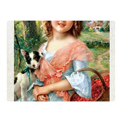 Vintage 1501591 1920 Double Sided Flano Blanket (mini) 