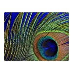Peacock Feather Macro Peacock Bird Double Sided Flano Blanket (Mini)  35 x27  Blanket Back