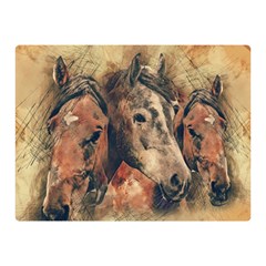 Head Horse Animal Vintage Double Sided Flano Blanket (mini)  by Simbadda