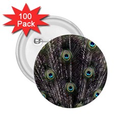 Background Peacock Feathers 2 25  Buttons (100 Pack)  by Wegoenart