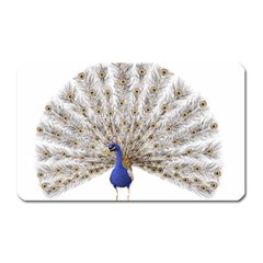 Peacock Colorful Bird Feather Blue Magnet (rectangular) by Wegoenart