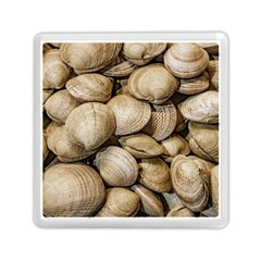 Shellfishs Photo Print Pattern Memory Card Reader (square) by dflcprintsclothing