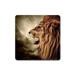 Roaring Lion Square Magnet by Sudhe