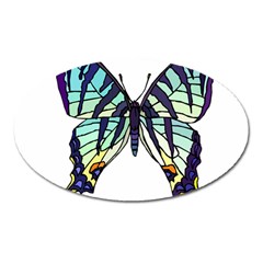 A Colorful Butterfly Oval Magnet by Sudhe