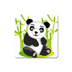 Giant Panda Bear Square Magnet by Sudhe