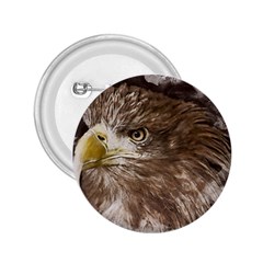 Sea Eagle Raptor Nature Predator 2 25  Buttons by Pakrebo