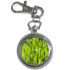 Agricultural Field   Key Chain Watches by rsooll